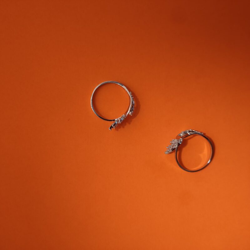 nature inspired silver ring with cubic zirconia